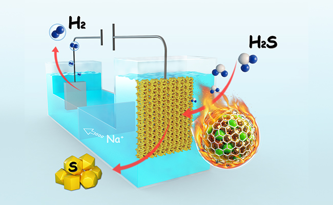 新型铠甲催化剂实现电催化高效分解硫化氢制氢的示意图
